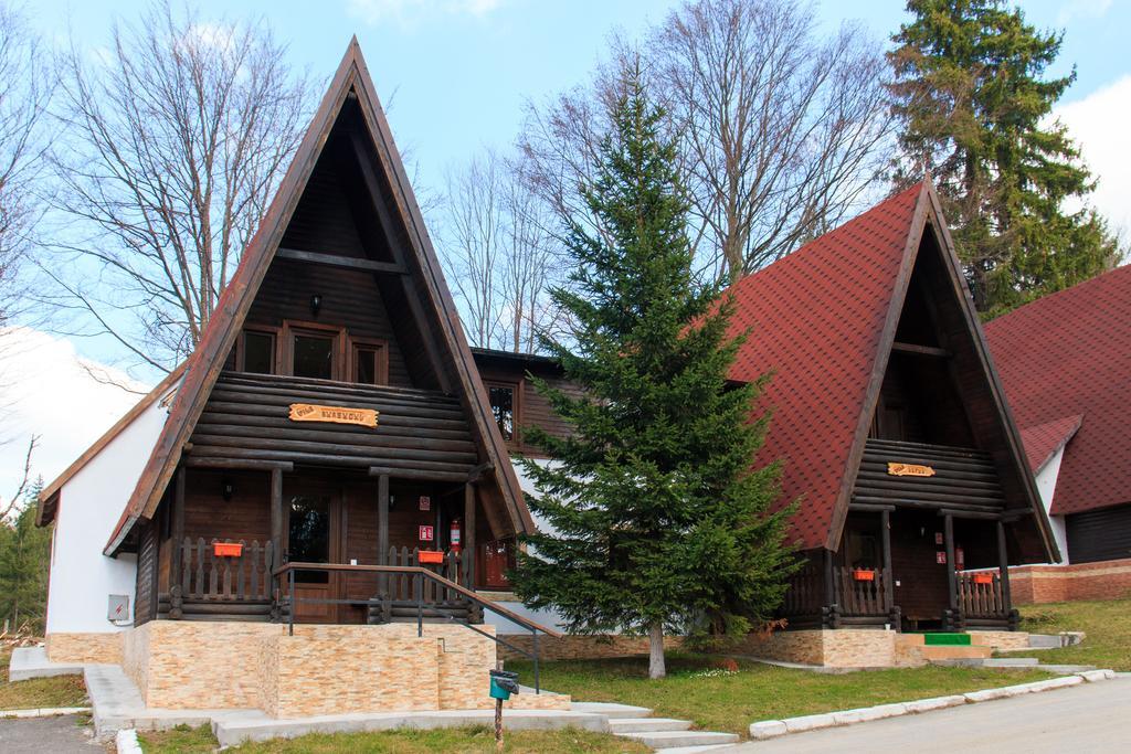 Hotel Centrul De Echitatie Poiana Brașov Exterior foto