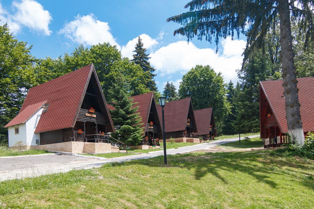 Hotel Centrul De Echitatie Poiana Brașov Exterior foto