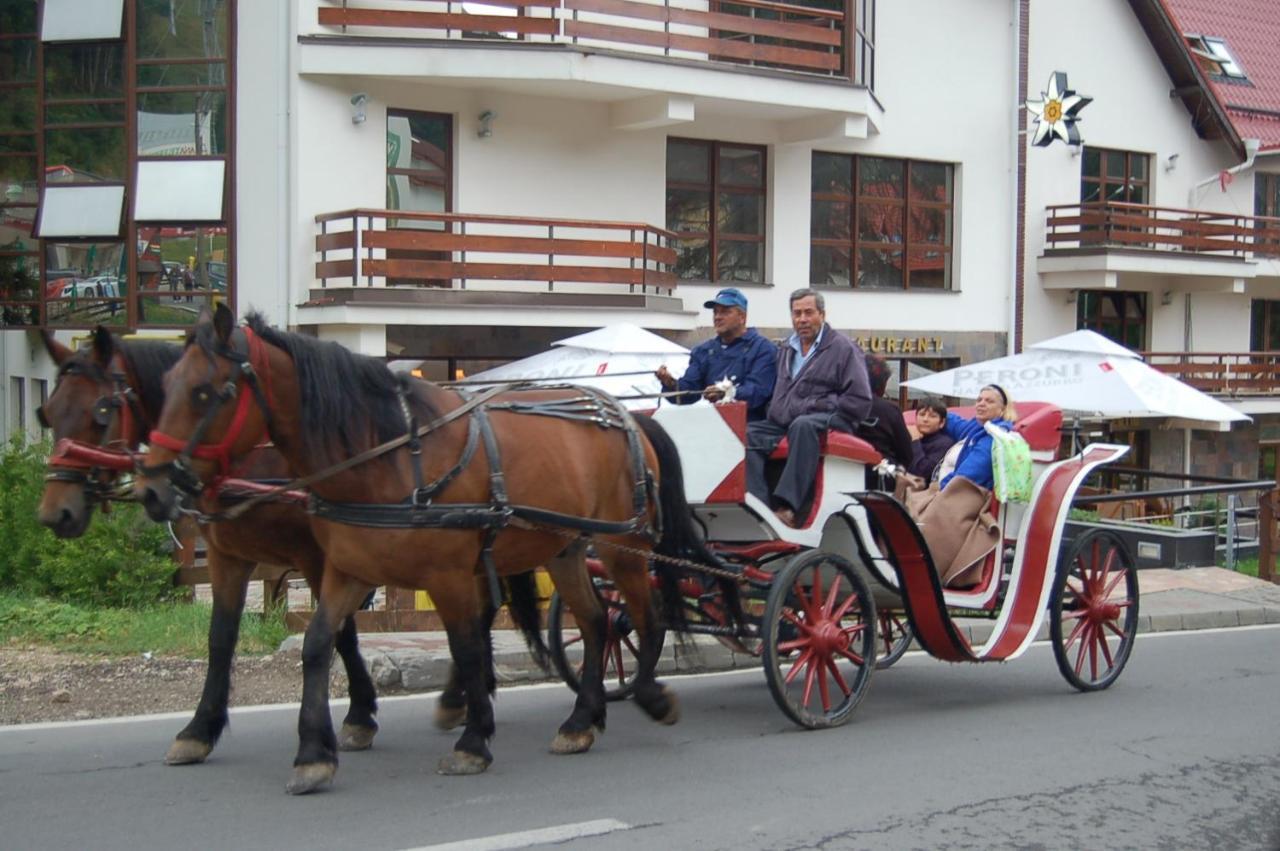 Hotel Centrul De Echitatie Poiana Brașov Exterior foto