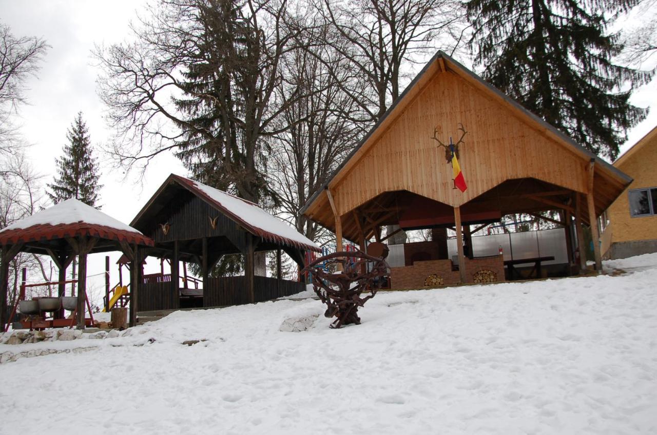 Hotel Centrul De Echitatie Poiana Brașov Exterior foto